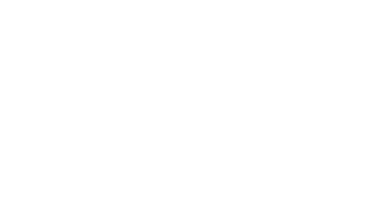 Ideas Fest